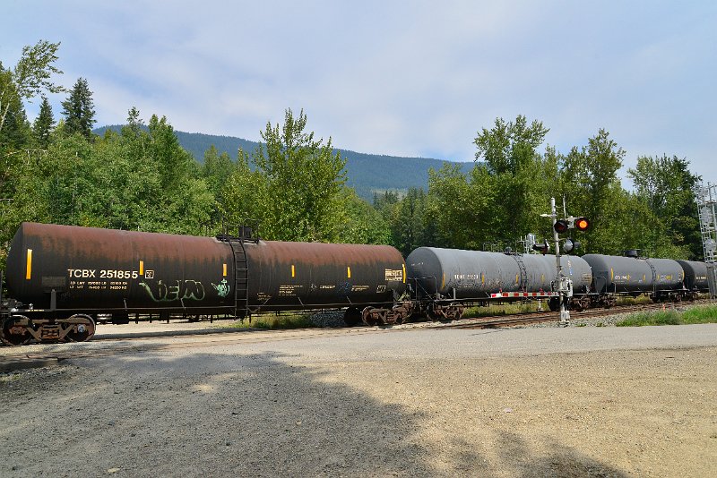 DSC_7495.JPG