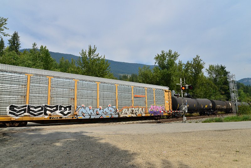 DSC_7499.JPG