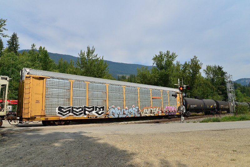 DSC_7500.JPG
