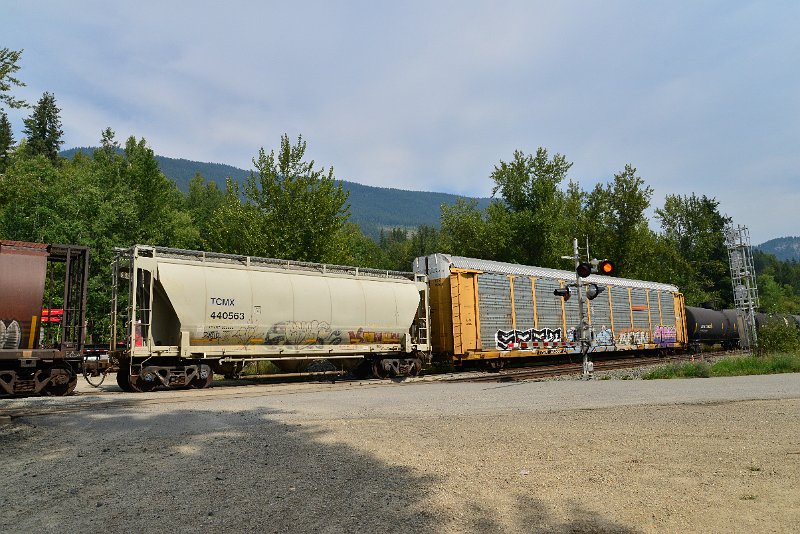 DSC_7501.JPG