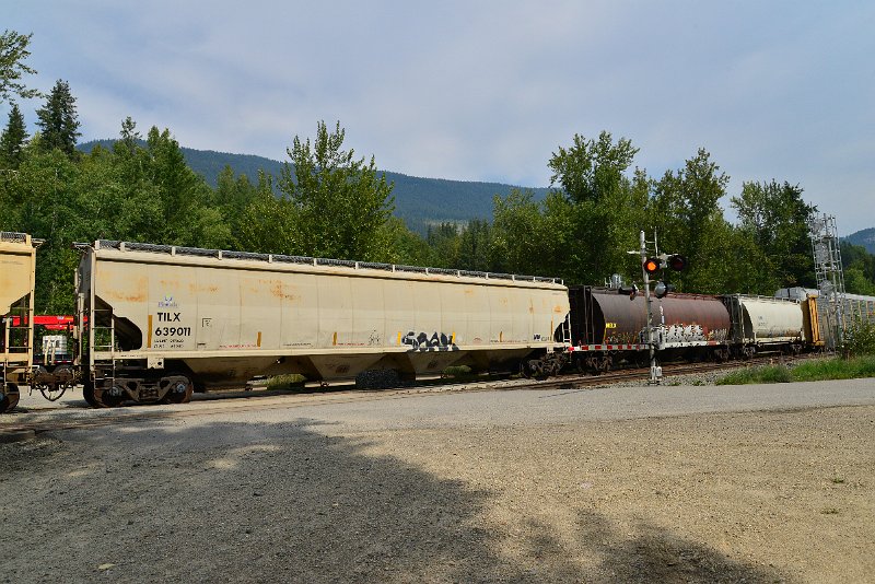 DSC_7503.JPG