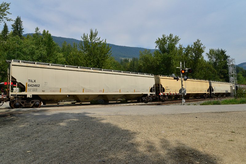 DSC_7505.JPG