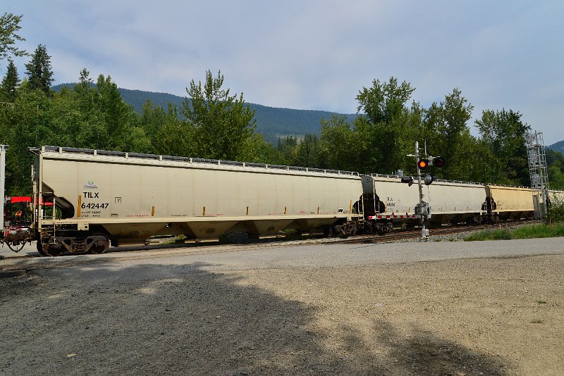 DSC_7506.JPG