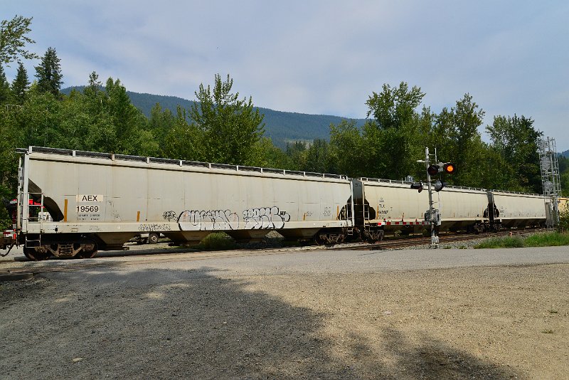 DSC_7507.JPG