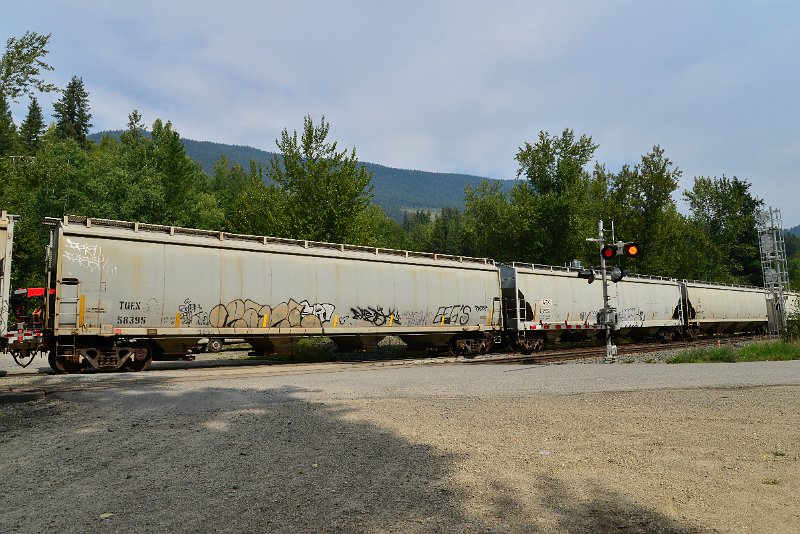 DSC_7508.JPG