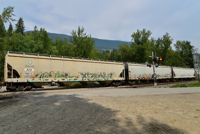 DSC_7509.JPG