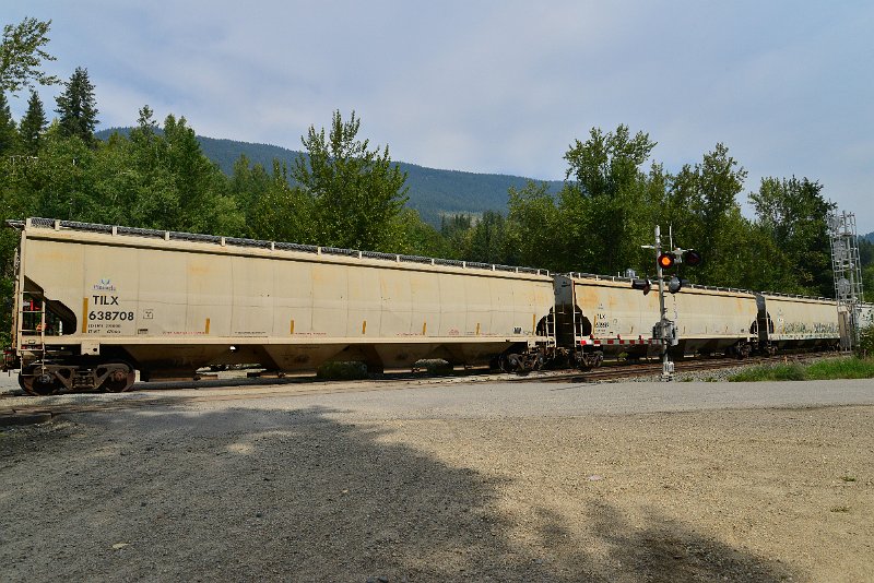 DSC_7511.JPG