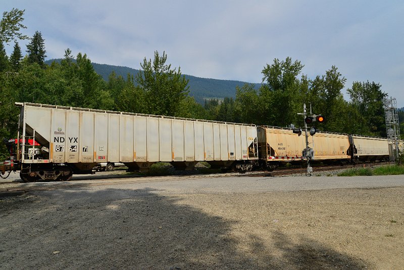 DSC_7513.JPG