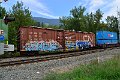 DSC_7241