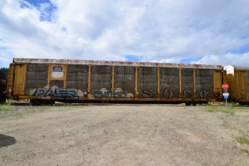 DSC_3558.JPG