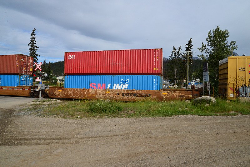 DSC_3736.JPG