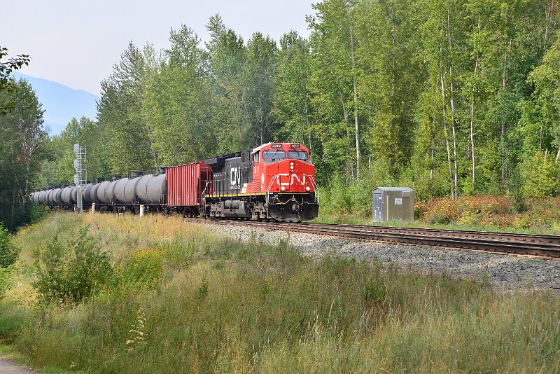 DSC_7364.JPG