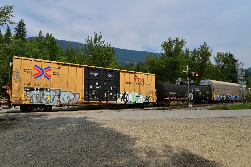 DSC_7480.JPG