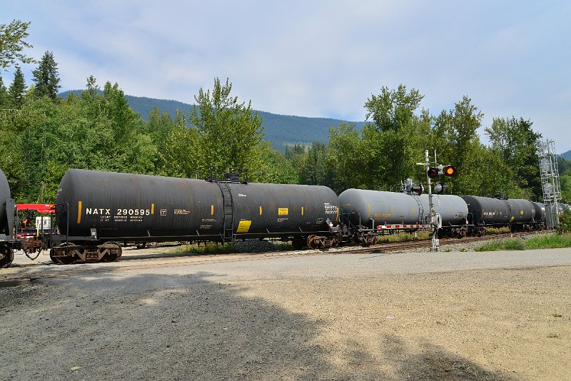 DSC_7492.JPG