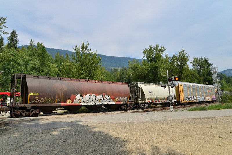 DSC_7502.JPG