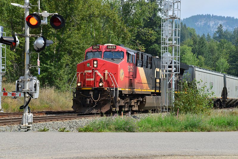 DSC_7523.JPG