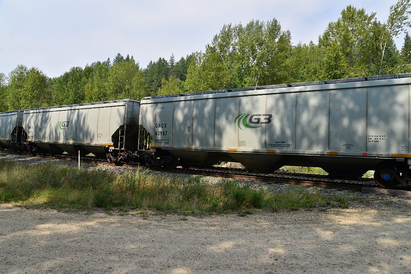 DSC_7549.JPG