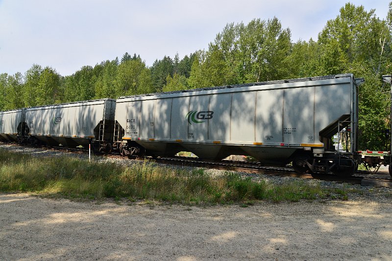 DSC_7559.JPG