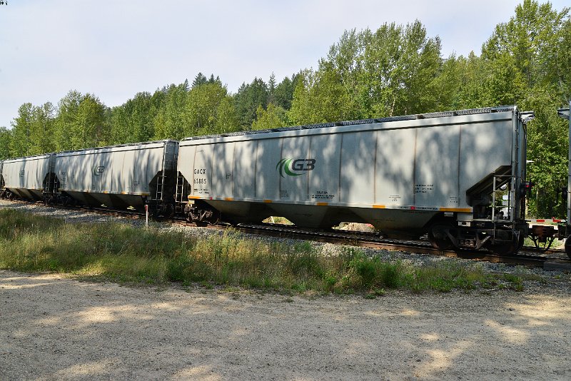 DSC_7646.JPG
