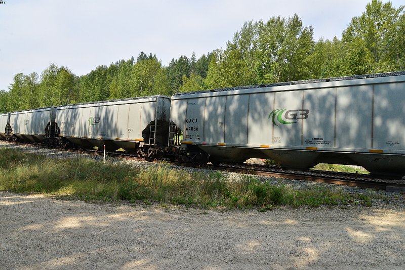 DSC_7649.JPG