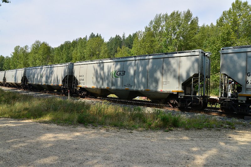 DSC_7665.JPG