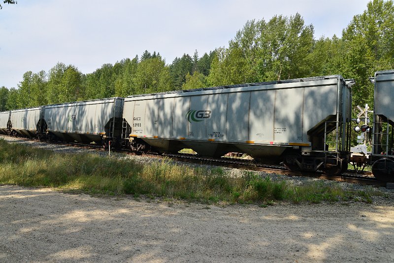 DSC_7671.JPG