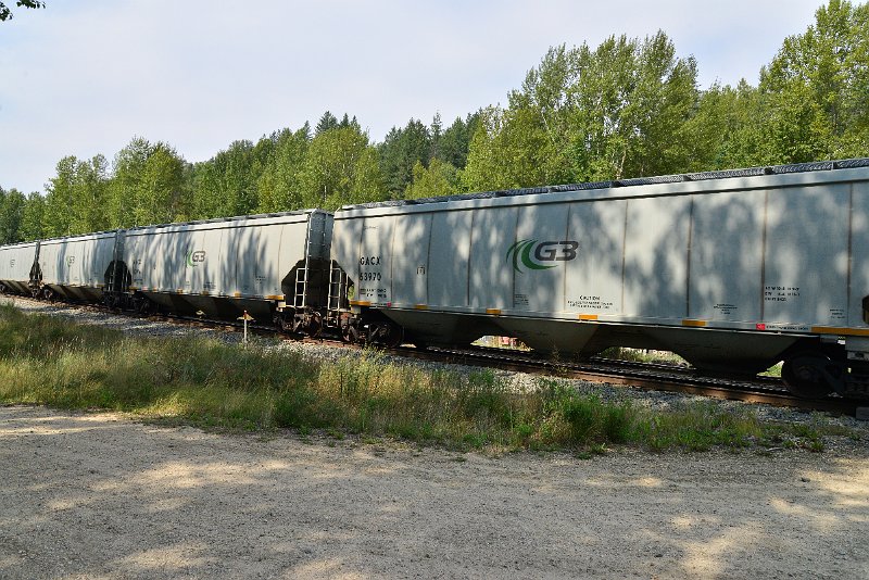 DSC_7677.JPG