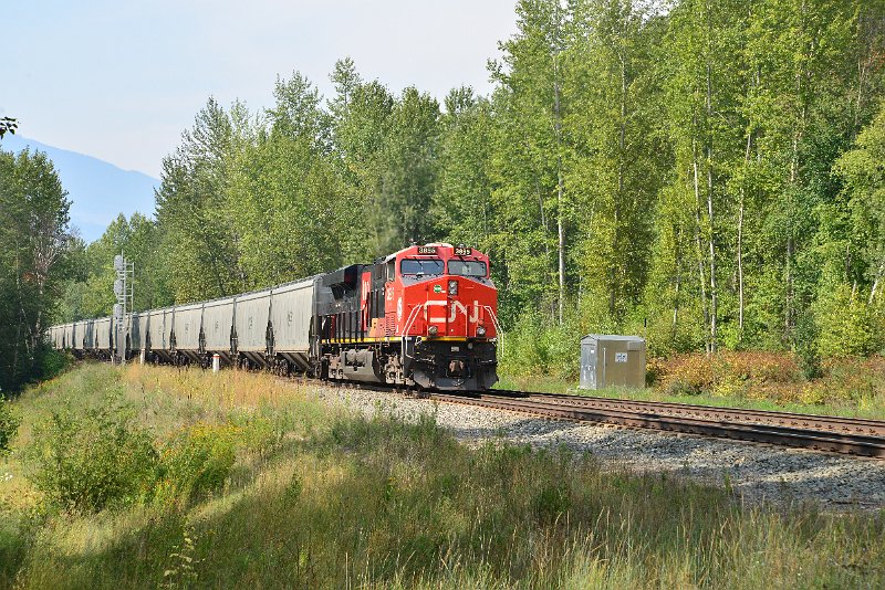 DSC_7688.JPG