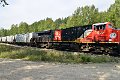 DSC_7685