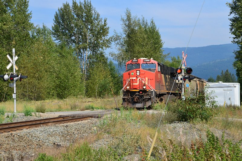 DSC_7694.JPG