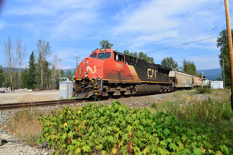 DSC_7695.JPG