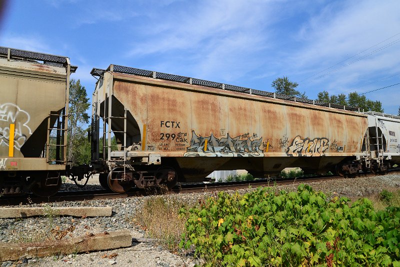 DSC_7697.JPG