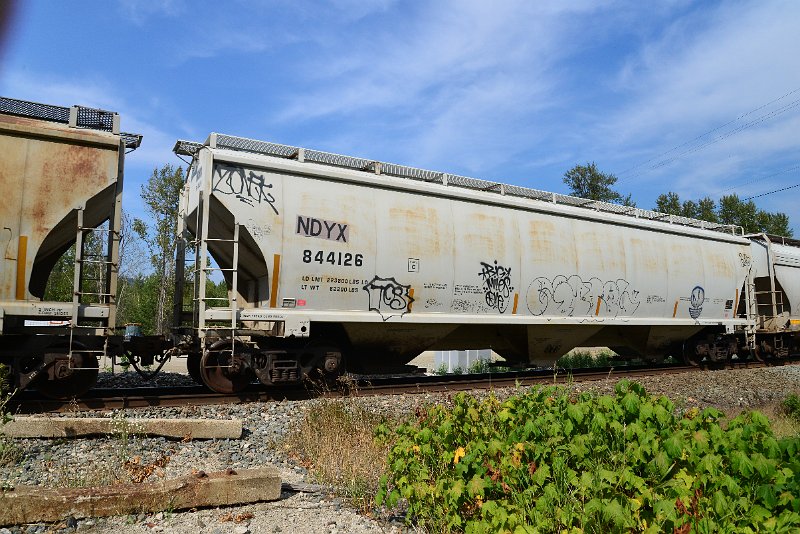 DSC_7698.JPG