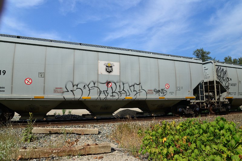 DSC_7705.JPG
