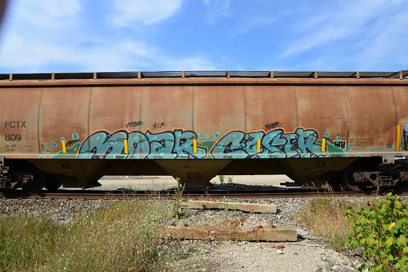 DSC_7707.JPG