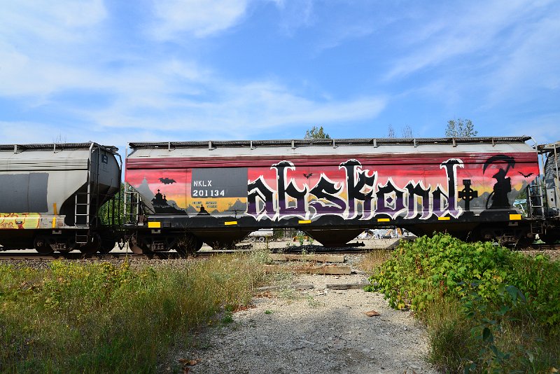 DSC_7708.JPG