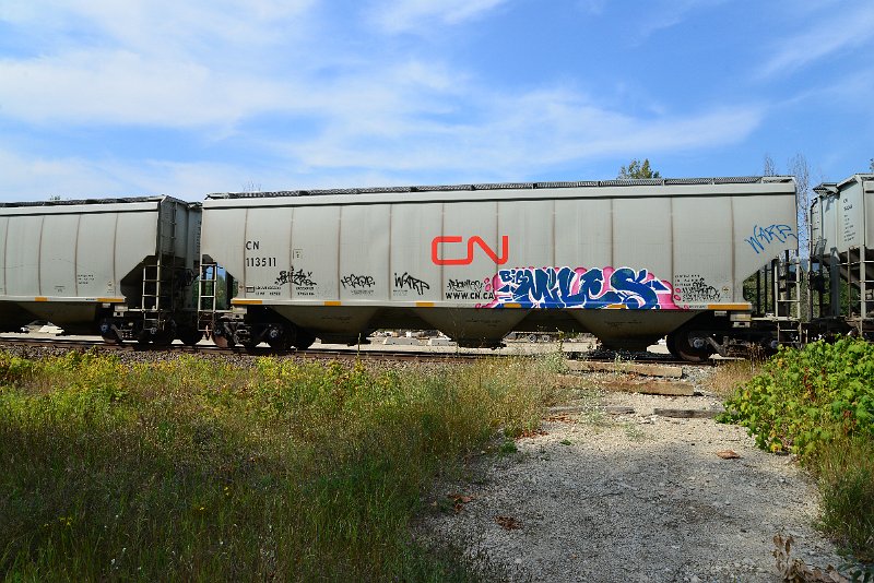 DSC_7713.JPG
