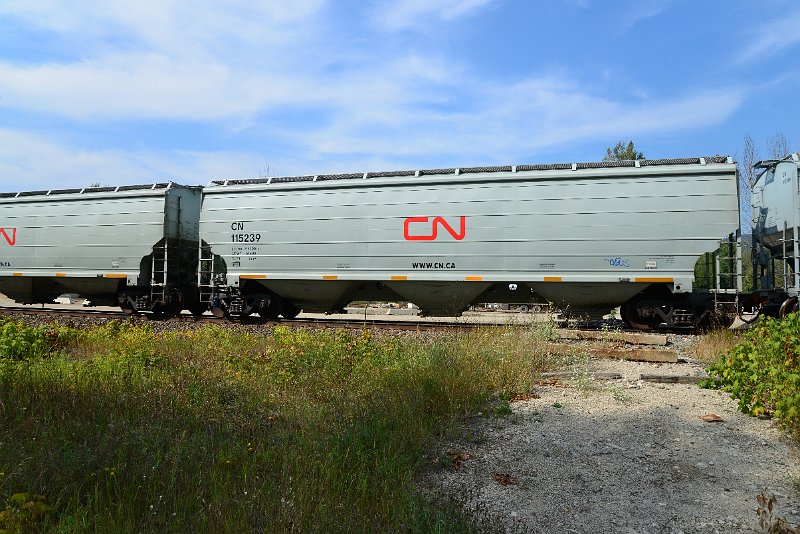 DSC_7716.JPG