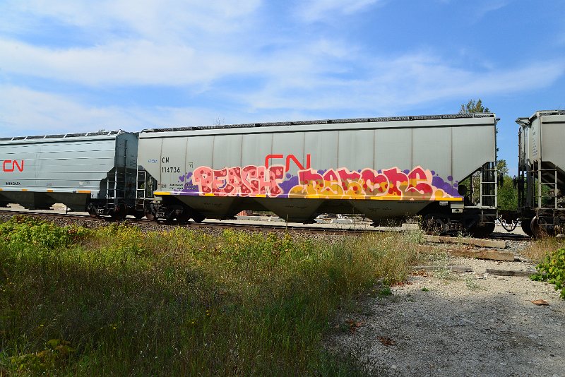 DSC_7722.JPG