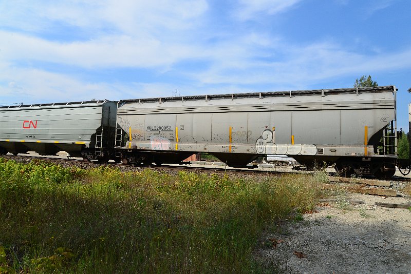 DSC_7729.JPG