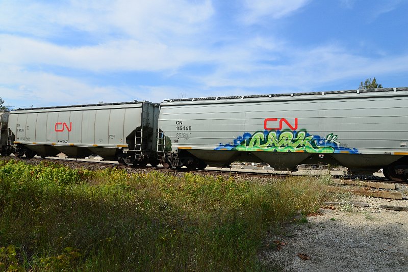 DSC_7732.JPG