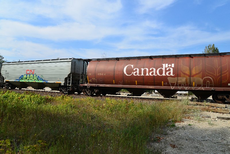 DSC_7733.JPG