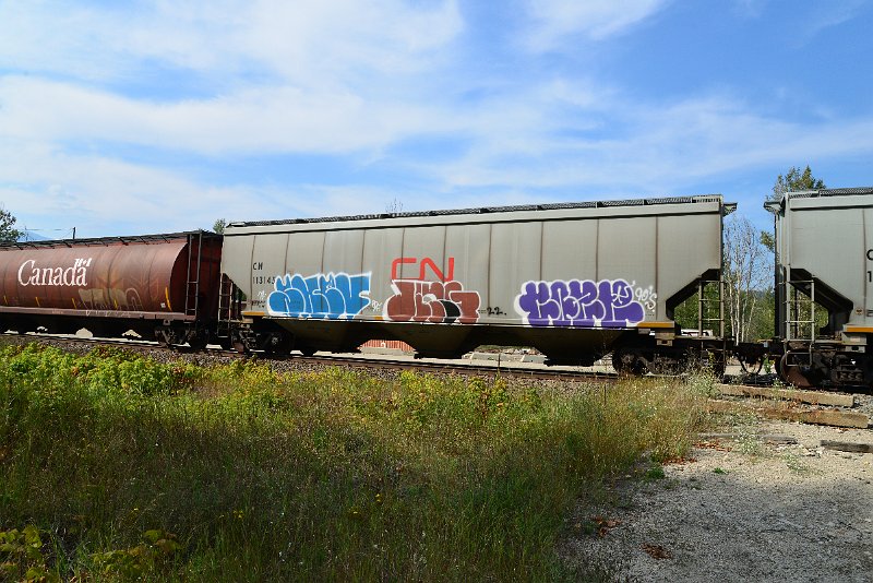 DSC_7734.JPG