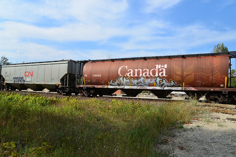 DSC_7736.JPG
