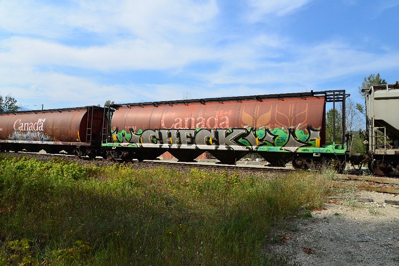 DSC_7737.JPG