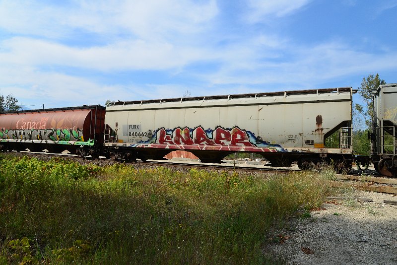 DSC_7738.JPG
