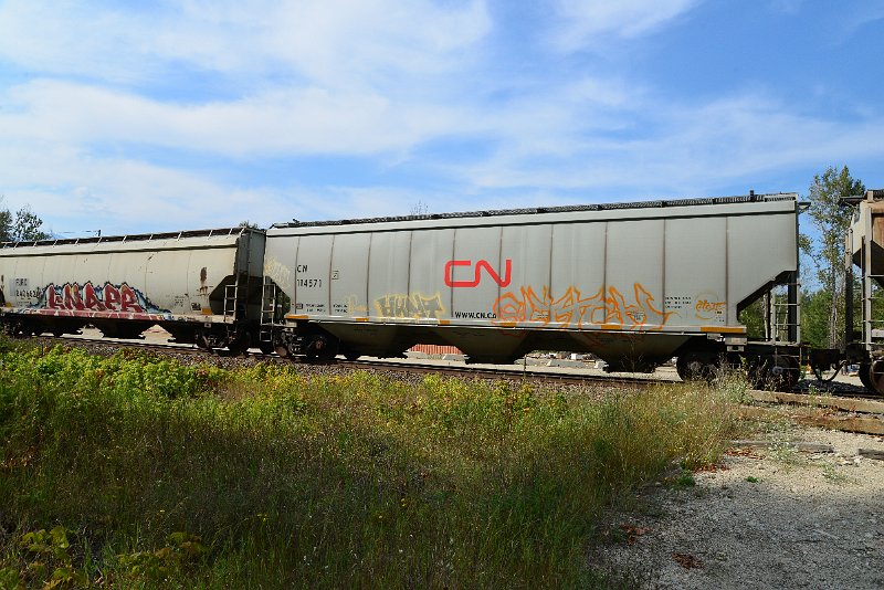 DSC_7739.JPG