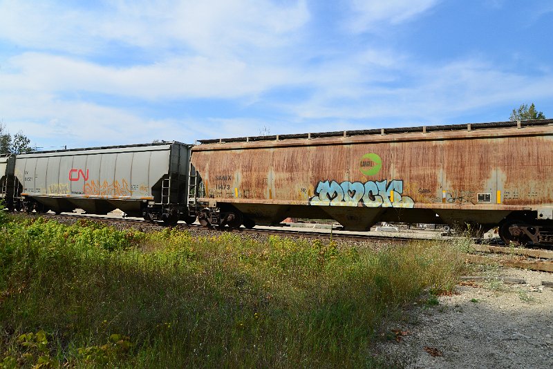 DSC_7740.JPG