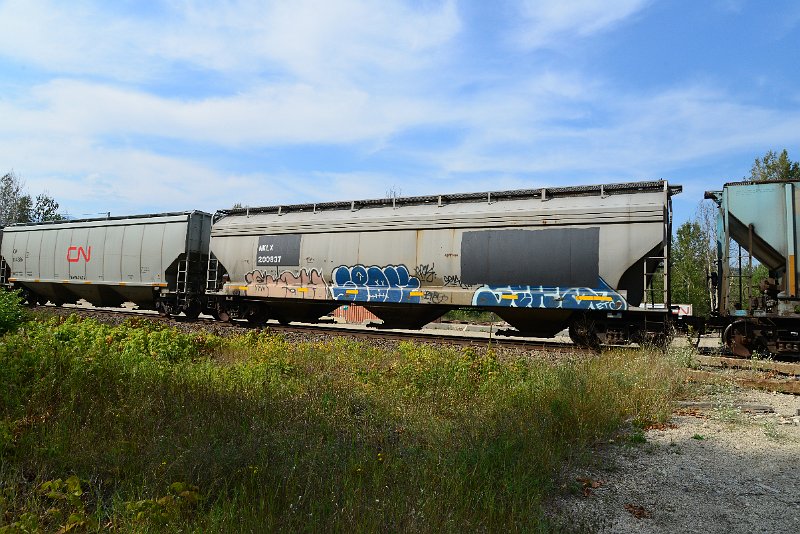 DSC_7745.JPG