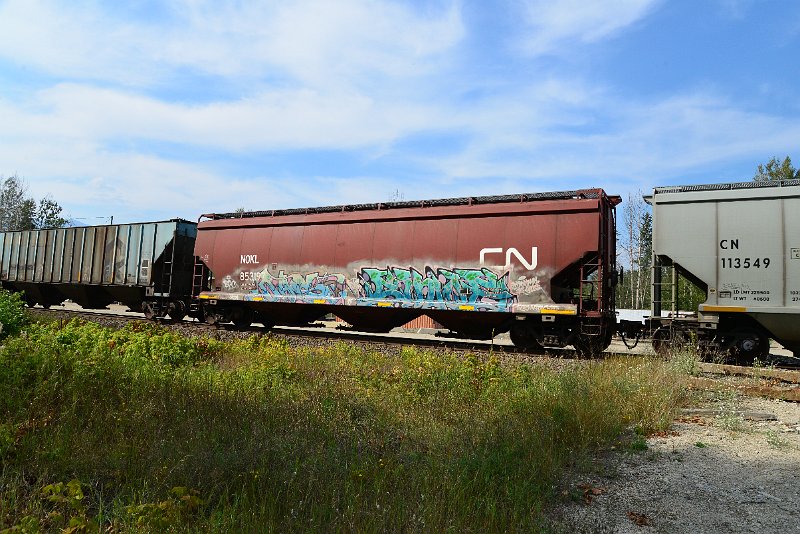 DSC_7747.JPG